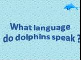 What language do dolphins speak ?