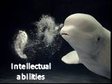 Intellectual abilities