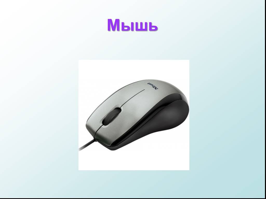 Фактор мыши. Компьютерная мышка для презентации. Мышь компьютера для презентации. Слайды для мышки. Мышь компьютерная слайд.
