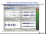 Общий вид окна программы Sound Forge