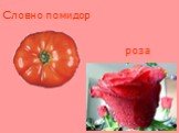 Словно помидор роза