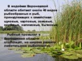 В водоёмах Воронежской области обитают около 40 видов рыбообразных и рыб, принадлежащих к семействам: щуковые, карповые, сомовые, окуневые, налимовые, бычковые и др. Рыбный промысел в Воронежской области отсутствует, но широко развито любительское рыболовство.