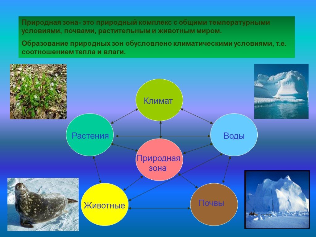 Что влияет на формирование природных зон. Изучение природных зон. Природный комплекс зоны. Природный комплекс климат. Схема природного комплекса.