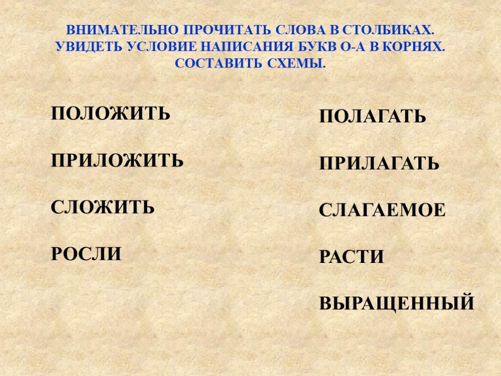 Подчеркнуть слова которые соответствуют схемам хвосты ягодка