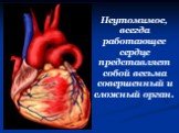 Неутомимое, всегда работающее сердце представляет собой весьма совершенный и сложный орган.