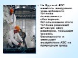 На Курской АЭС началось внедрение уран-эрбиевого топлива повышенного обогащения. Использование этого топлива развивает активную зону реакторов, повышает уровень безопасности и уменьшает воздействие АЭС на природную среду.
