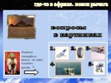 Скажите, пожалуйста, можно ли здесь отыскать рычаги ? 4. 3. 2. 1. 5. вопросы в картинках