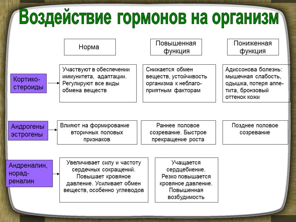 Обмен веществ и железы внутренней секреции