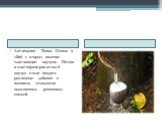 Англичанин Томас Гэнкок в 1826 г. открыл явление пластикации каучука. Потом в пластифицированный каучук стали вводить различные добавки и возникла технология наполненных резиновых смесей.