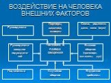 ВОЗДЕЙСТВИЕ НА ЧЕЛОВЕКА ВНЕШНИХ ФАКТОРОВ