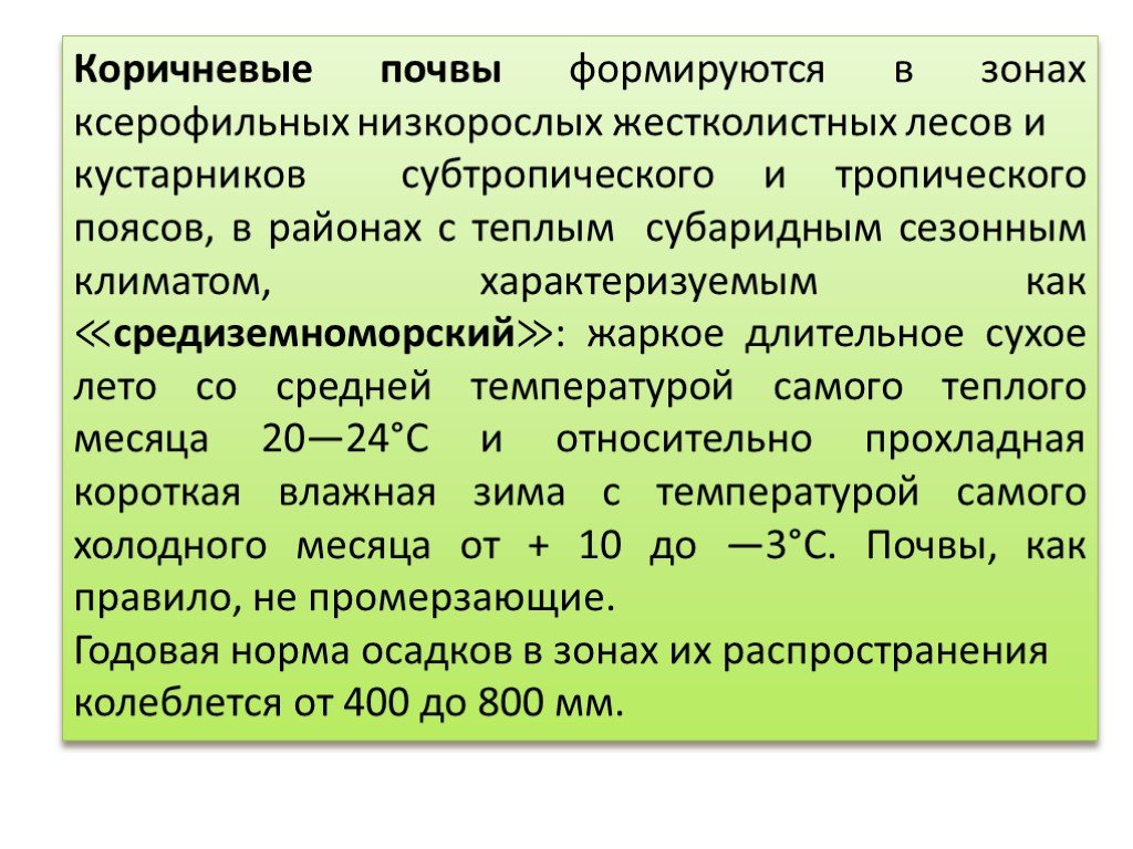 Какая почва в вечнозеленых лесах. Почва жестколистных лесов. Почвы вечнозеленых жестколистных лесов. Жестколистные вечнозеленые леса и кустарники почва. Почва в жестколистных лесах и кустарниках.