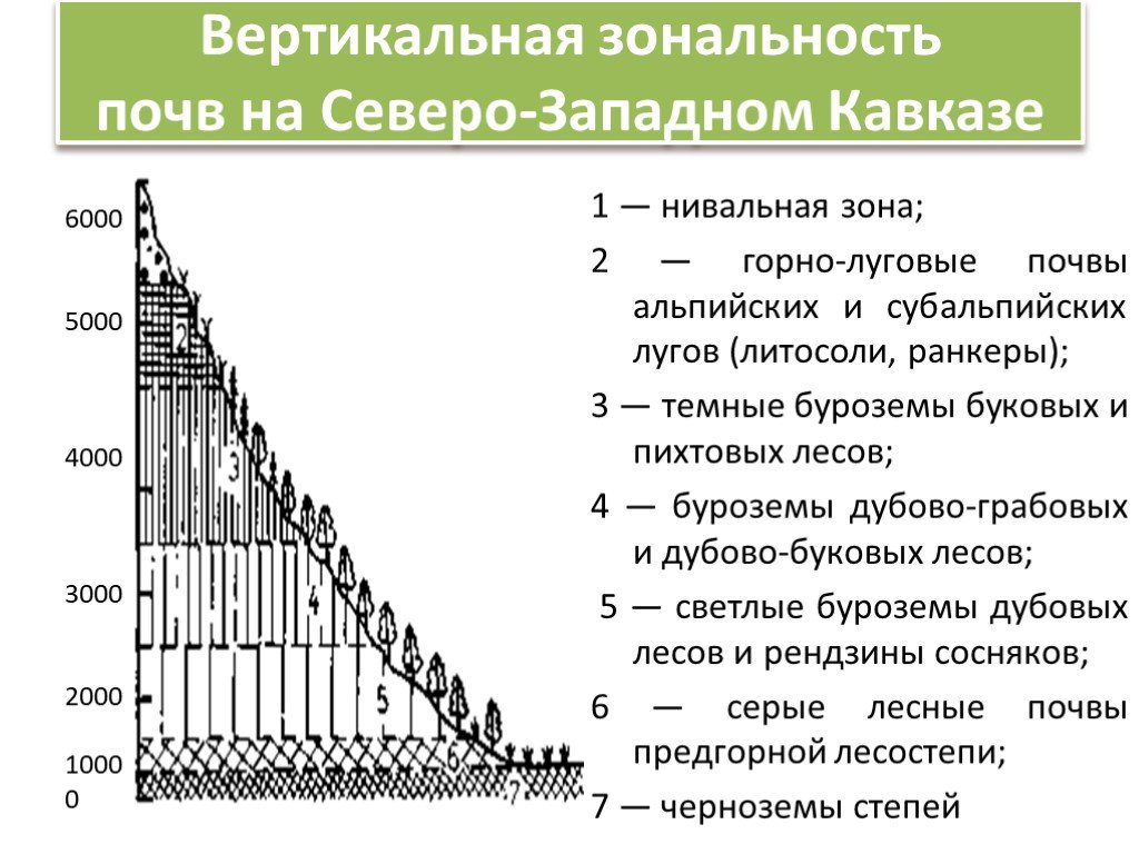 Типы зональности