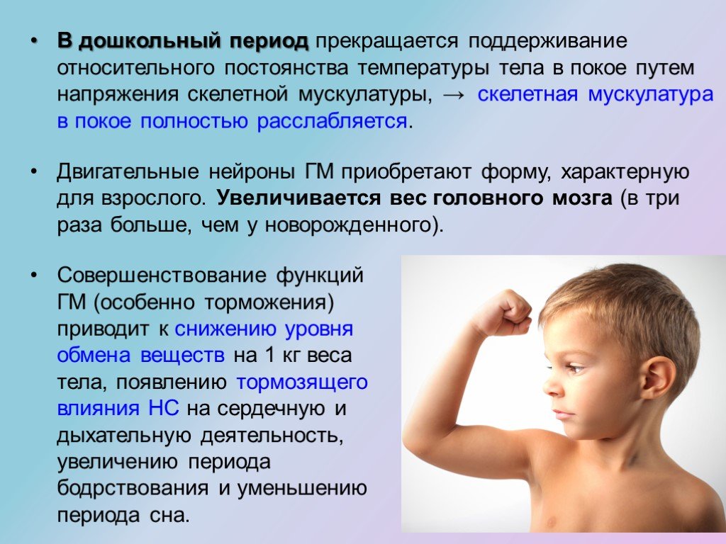 Дошкольный период характеристика. Особенности дошкольного периода. Мышечная система детей дошкольного возраста. Степень развития мышечной системы у детей. Особенности костно мышечной системы у детей.