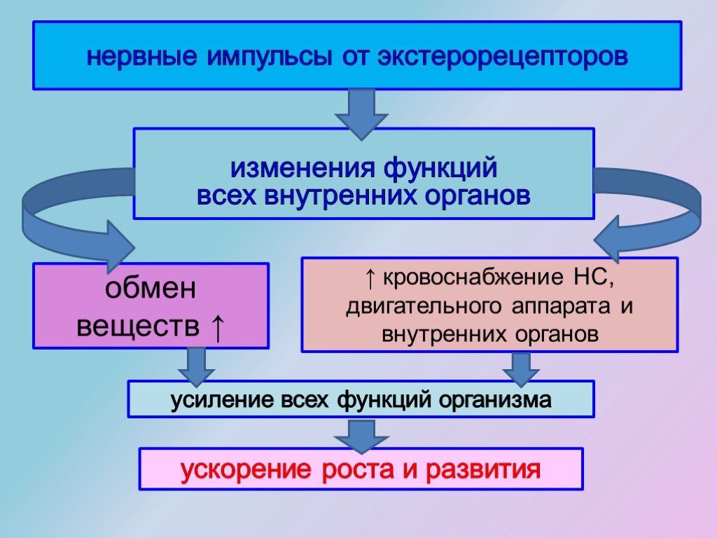 Органы обмен