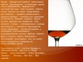 Коньяк - Французский крепкий алкогольный напиток, производимый из винограда сортов, строго определенных французским законодательством. Своё название напиток коньяк получил по имени города Коньяк, регионаПуату — Шаранта, департамента Шаранта,Франция, с которым его связывает историческое прошлое созда
