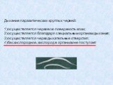 Дыхание паразитических круглых червей: 1)осуществляется через всю поверхность кожи; 2)осуществляется благодаря специальным органам дыхания; 3)осуществляется через дыхательные отверстия; 4)бескислородное, кислород в организм не поступает