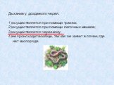 Дыхание у дождевого червя: 1)осуществляется при помощи трахеи; 2)осуществляется при помощи легочных мешков; 3)осуществляется через кожу; 4)не происходит вообще, так как он живет в почве, где нет кислорода