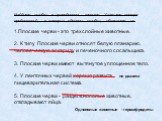 Найдите ошибки в приведенном тексте. Укажите номера предложений, в которых сделаны ошибки, объясните их. 1.Плоские черви - это трехслойные животные. 2. К типу Плоские черви относят белую планарию, человеческую аскариду и печеночного сосальщика. 3. Плоские черви имеют вытянутое уплощенное тело. 4. У 