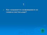 Как называется развившееся из семени растеньице?