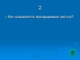 Как называются зародышевые листья?