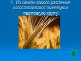 1. Из семян какого растения изготавливают ячневую и перловую крупу