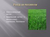 Уход за посевом. Агротехнический метод Химический метод : с вредителями, сорняками, болезнями