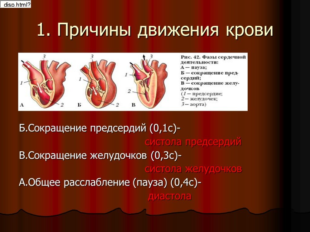 Движение крови биология 8 класс. Движение крови по сосудам. Причины движения крови. Причины движения крови по сосудам. Презентация движение крови по сосудам.