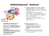 I. Мезобластический этап - в стенке желточного мешка формируется первая генерация стволовых клеток крови, где происходит: интраваскулярный эритропоэз (мегалобласты и нормобласты) экстраваскулярный гранулоцитопоэз. II. Гепатоспленотимический этап (вторая генерация СКК) с 6-й недели развития. В печени
