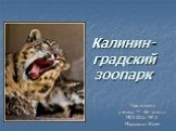 Калинин-градский зоопарк. Подготовила ученица 11 «Б» класса МОУ СОШ № 2 Марковска Юлия