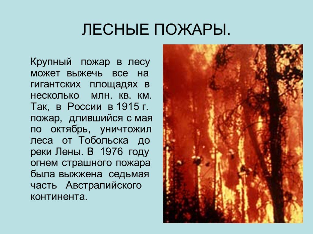 Лесной пожар 3 класс. Сообщение на тему Лесные пожары. Сообщение о лесных пожарах. Пожар для презентации. Доклад на тему пожар в лесу.