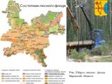 Состояние лесного фонда. Рис. 3 Карта лесного фонда Кировский области