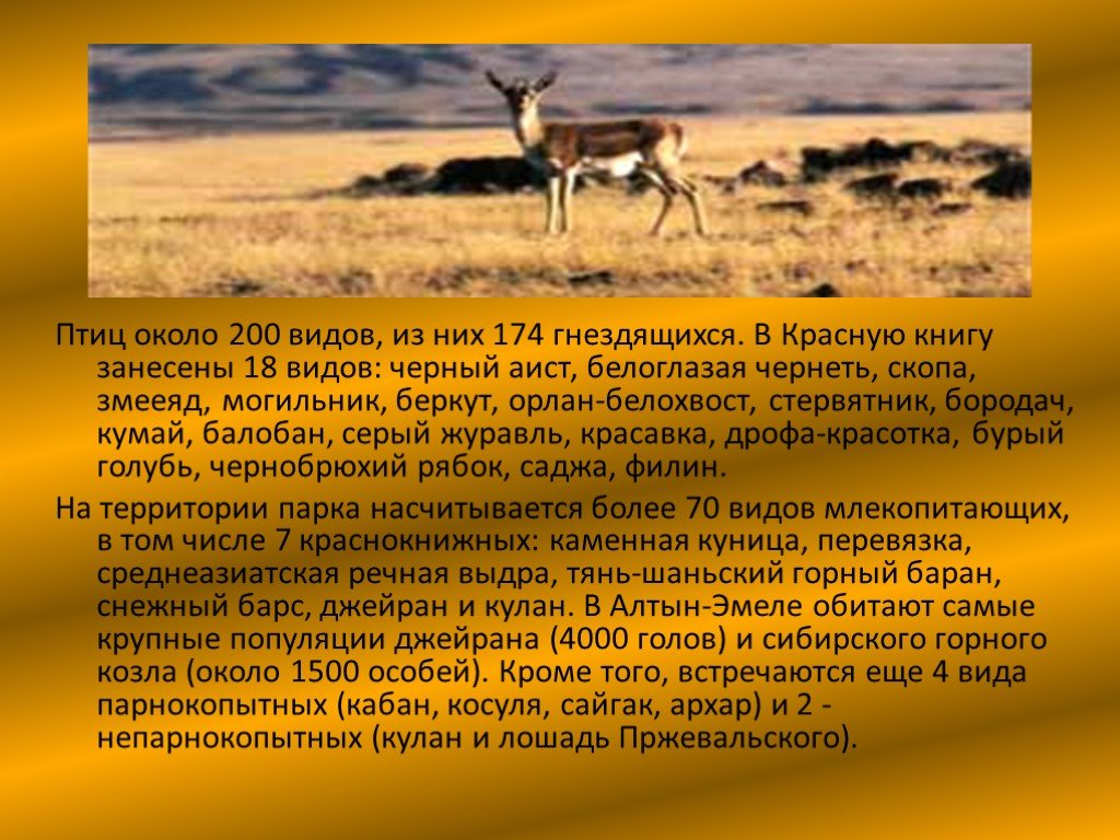 Какие отношения складываются между беркутом и джейраном. Заповедники в пустыне. Заповедники пустыни России. Животные заповедников в пустыне. Животное пустыни занесенные в красную.