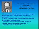 Вавилов Николай Иванович 1887 – 1943 российский генетик, растениевод, географ. основатель учения о основах селекции и центрах происхождения и разнообразия культурных растений; собрал крупнейшую в мире мировую коллекцию семян культурных растений; обосновал учение об иммунитете растений; открыл закон 