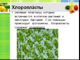 Хлоропла́сты. зелёные пластиды, которые встречаются в клетках растений и некоторых бактерий. С их помощью происходит фотосинтез. Хлоропласты содержат хлорофилл.