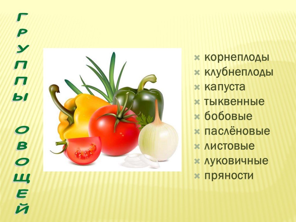 Овощ входящий в состав. Овощи группы корнеплодов. Классификация корнеплодов. Классификация групп овощей. Что относится к корнеплодным овощам.