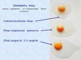 Свежесть яиц можно определить по консистенции белка и желтка. Свежеснесённое яйцо Яйцо недельной давности Яйцо возраста 2-3 недели