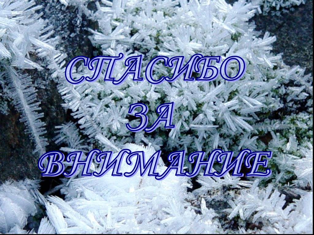 Внимание зимний. Спасибо за внимание зимнее. Спасибо за внимание новый год. Спасибо за внимание с зимой. Спасибо за внимание на фоне зимы.