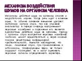 Механизм воздействия шумов на организм человека. Механизм действия шума на организм сложен и недостаточно изучен. Когда речь идет о влиянии шума, то обычно основное внимание уделяют состоянию органа слуха, так как слуховой анализатор в первую очередь воспринимает звуковые колебания и поражение его я