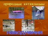 природные катаклизмы. наводнения
