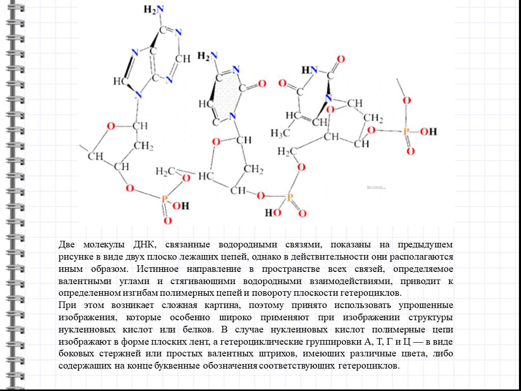 Двойная молекула. Типы связей в молекуле ДНК. Водородная связь в нуклеиновых кислотах. Типы связи в нуклеиновых кислотах водородная и. Типы химических связей в молекуле ДНК.