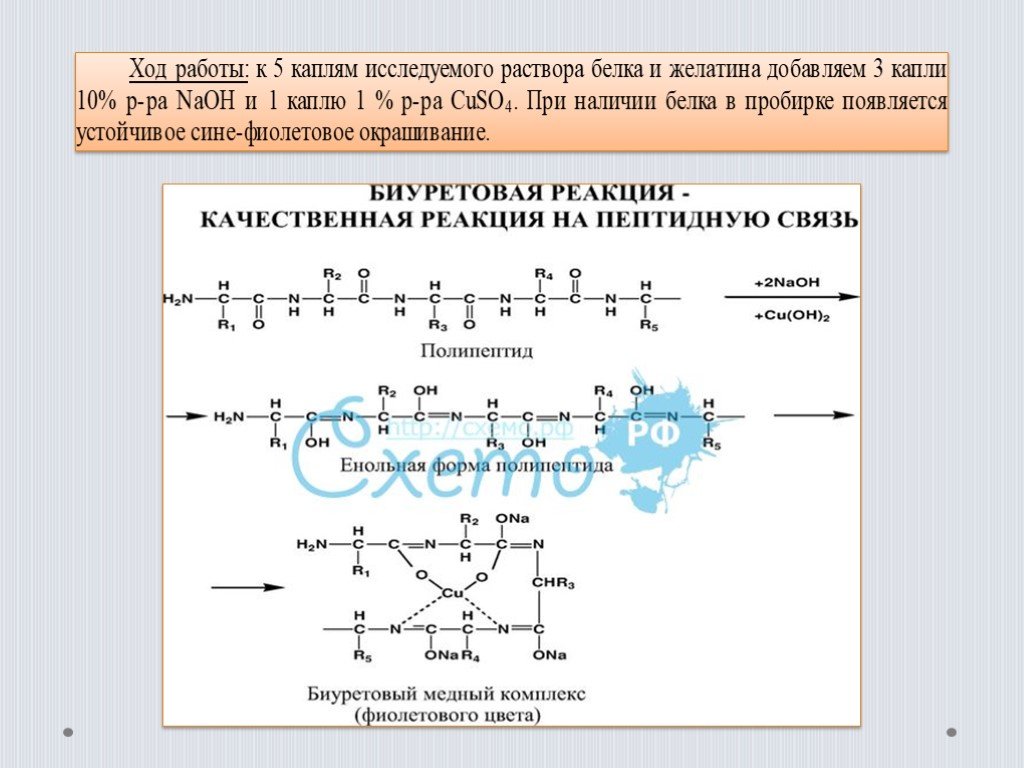 Презентация аминокислоты белки 10 класс габриелян