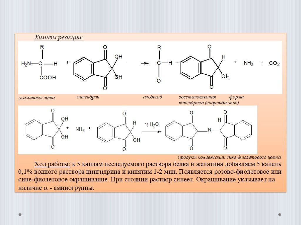 Презентация аминокислоты и белки 9 класс химия