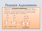 Реакция Адамкевича. Метод основан на способности триптофана в кислой среде реагировать с глиоксиловой кислотой с образованием соединения, окрашенного в красно-фиолетовый цвет. В качестве источни­ка глиоксилевой кислоты обычно используют ледяную уксусную кислоту, содержащую примесь глиоксилевой.