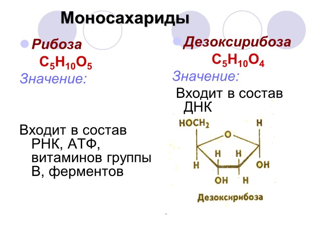 Рибоза структурная. Циклическая дезоксирибоза. Дезоксирибоза моносахарид. Дезоксирибоза это кратко. Молекула рибозы формула.