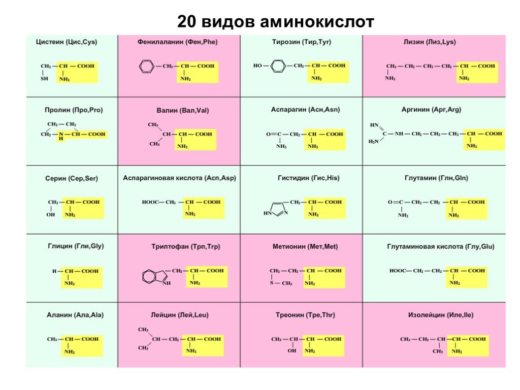 Химические элементы аминокислот. Строение 20 аминокислот. Формулы 20 аминокислот таблица. 20 Стандартных аминокислот таблица. 20 Важнейших аминокислот формулы.