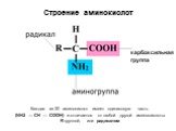 Строение аминокислот. карбоксильная группа. Каждая из 20 аминокислот имеет одинаковую часть (NH2 — СН — СООН) и отличается от любой другой аминокислоты R-группой, или радикалом