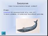 Биология Самое большое млекопитающее на Земле? Ответ: Синий кит. Его длина достигает 30 м , а вес 122 т. По своим размерам он превосходит крупнейший динозавр.