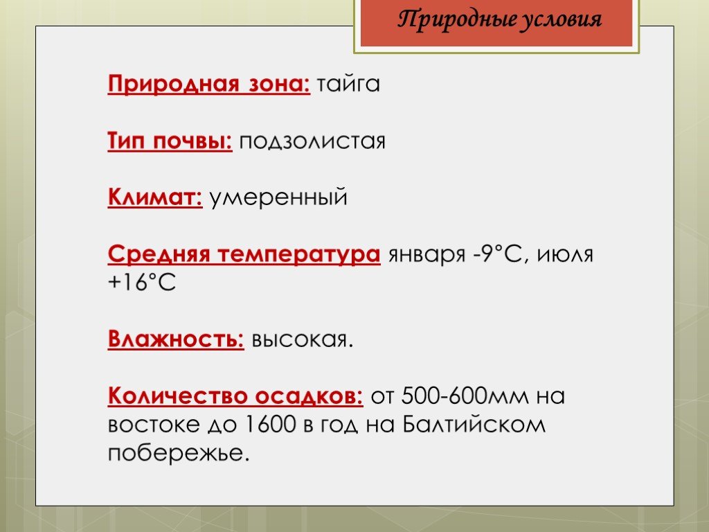 Температура января тайги в россии