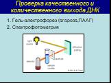 Проверка качественного и количественного выхода ДНК. 1. Гель-электрофорез (агароза,ПААГ) 2. Спектрофотометрия