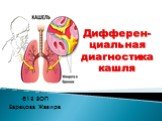Дифферен- циальная диагностика кашля. 613 ВОП Барақова Жазира